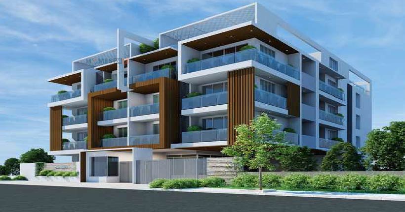 Dhammangi Zeus Cover Image